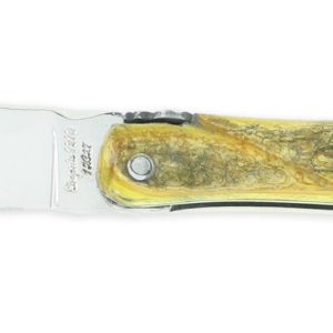 Couteau Prestige Laguiole Arbalète Manche en Croute de Buis Plein Manche 1 Pièce 12cm