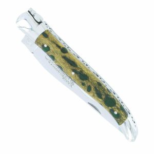 Couteau Laguiole en Aubrac 1 pièce 12cm Manche Cactus Vert 2 Mitres Inox Brillant