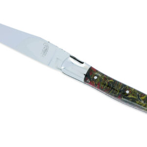 Couteau Prestige Laguiole David Dauvillaire Manche Lichen Stabilisé dans Résine 1 Pièce 12 cm